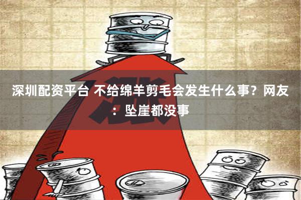 深圳配资平台 不给绵羊剪毛会发生什么事？网友：坠崖都没事