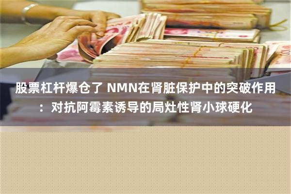 股票杠杆爆仓了 NMN在肾脏保护中的突破作用：对抗阿霉素诱导的局灶性肾小球硬化