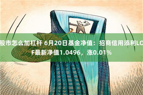 股市怎么加杠杆 6月20日基金净值：招商信用添利LOF最新净值1.0496，涨0.01%