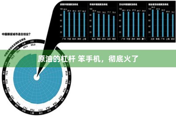 原油的杠杆 笨手机，彻底火了