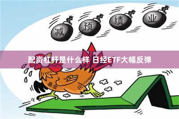 配资杠杆是什么样 日经ETF大幅反弹