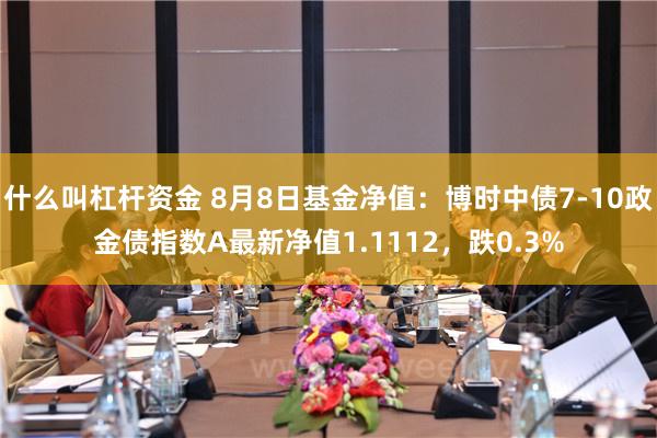 什么叫杠杆资金 8月8日基金净值：博时中债7-10政金债指数A最新净值1.1112，跌0.3%