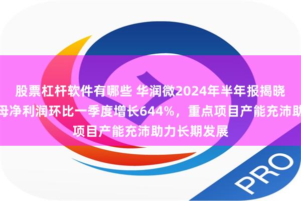 股票杠杆软件有哪些 华润微2024年半年报揭晓：二季度归母净利润环比一季度增长644%，重点项目产能充沛助力长期发展