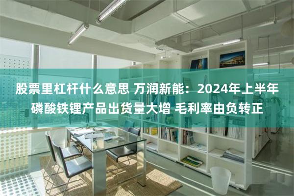 股票里杠杆什么意思 万润新能：2024年上半年磷酸铁锂产品出货量大增 毛利率由负转正