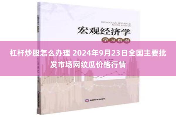 杠杆炒股怎么办理 2024年9月23日全国主要批发市场网纹瓜价格行情