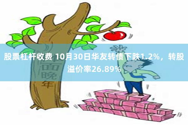 股票杠杆收费 10月30日华友转债下跌1.2%，转股溢价率26.89%