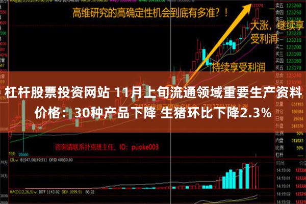 杠杆股票投资网站 11月上旬流通领域重要生产资料价格：30种产品下降 生猪环比下降2.3%