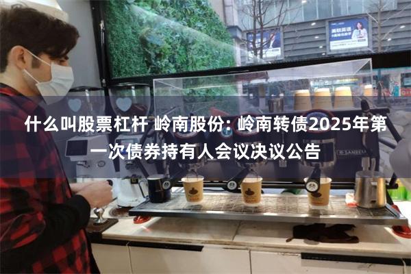 什么叫股票杠杆 岭南股份: 岭南转债2025年第一次债券持有人会议决议公告