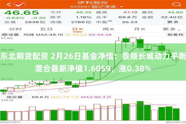 东北期货配资 2月26日基金净值：景顺长城动力平衡混合最新净值1.6059，涨0.38%